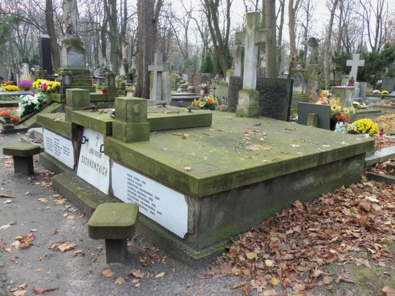 Zdjęcie grobu Zofia Chodkowska (2)