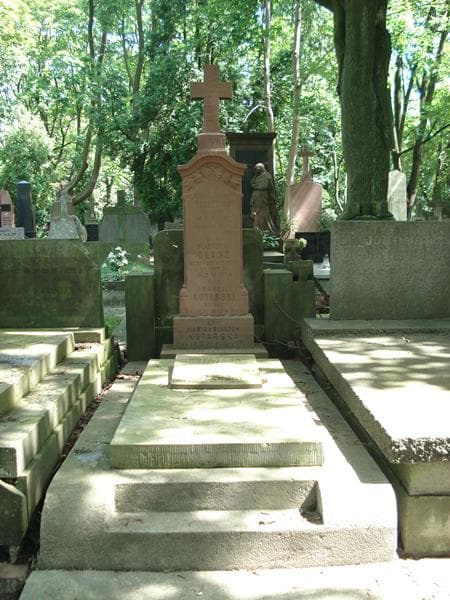 Zdjęcie grobu: Władysław Olasz