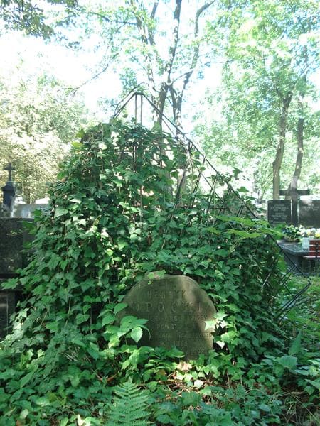 Zdjęcie grobu Henryk Opocki (2)