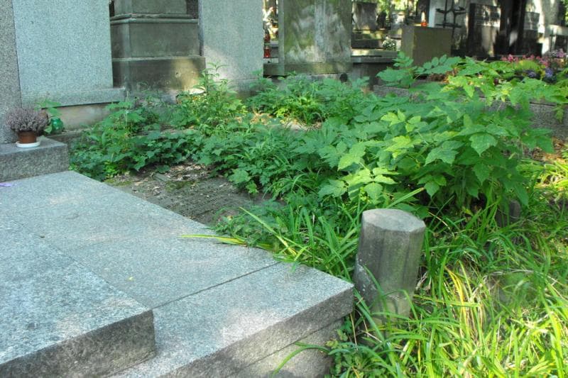 Zdjęcie grobu Marja Ałferów (1)