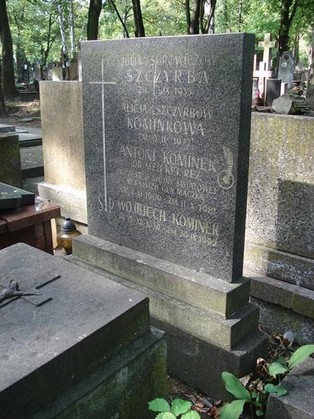 Zdjęcie grobu Julia Szczyrba (2)