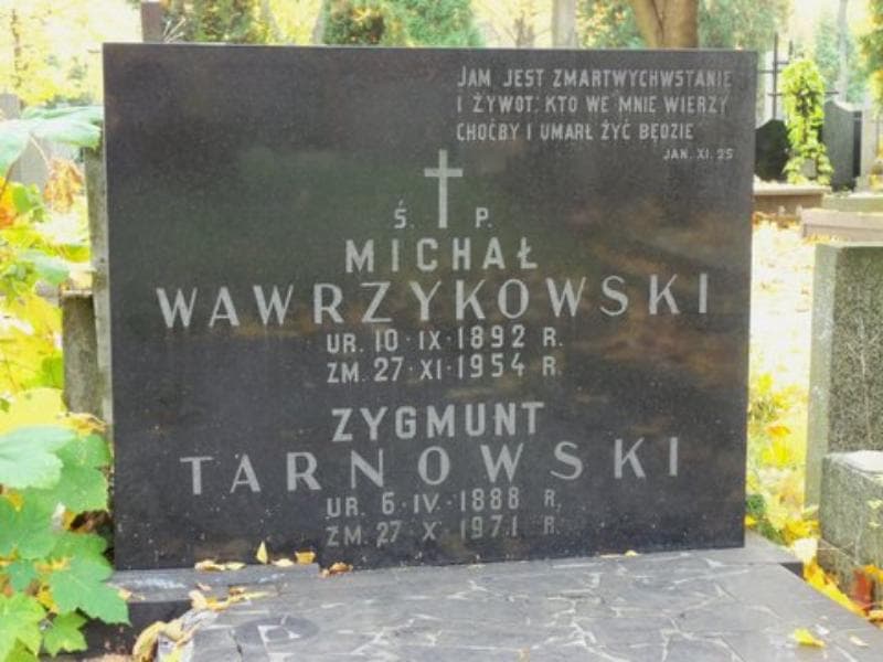 Zdjęcie grobu Zygmunt Tarnowski (2)