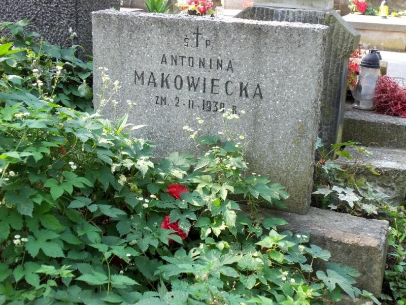 Zdjęcie grobu Antonina Makowiecka (2)