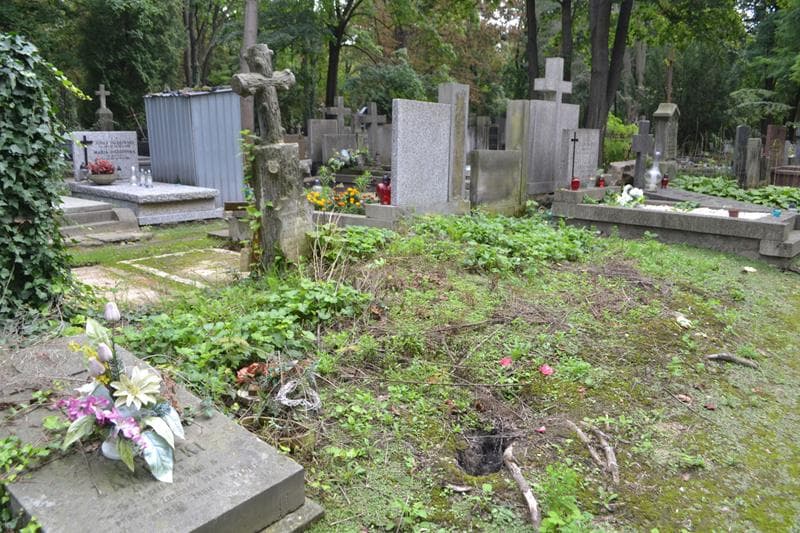 Zdjęcie grobu: Helena Pingwarska