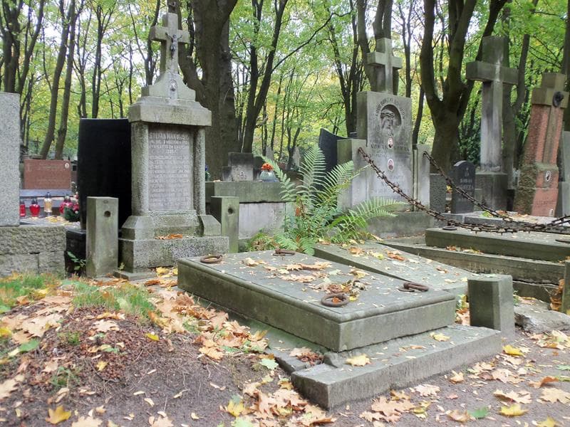 Zdjęcie grobu Stefan Makowski (1)