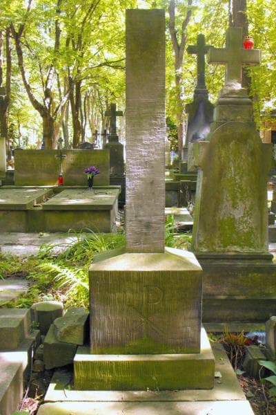 Zdjęcie grobu Stanisław Hoffman (2)