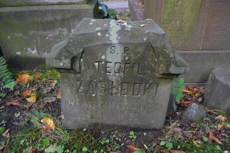 Zdjęcie grobu Teofil Zabłocki (2)