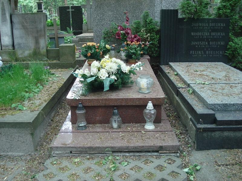 Zdjęcie grobu: Zdzisław Wolski