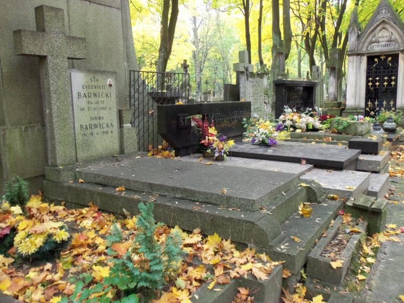 Zdjęcie grobu Janina Barwicka (1)