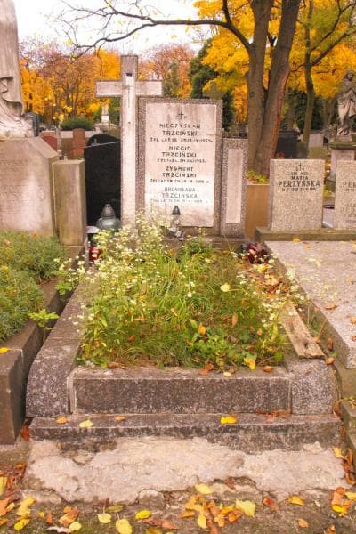 Zdjęcie grobu: Zygmunt Trzciński