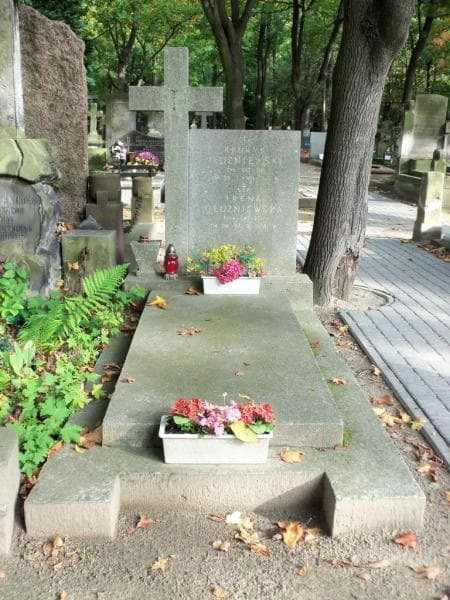 Zdjęcie grobu: Henryk Dłużniewski