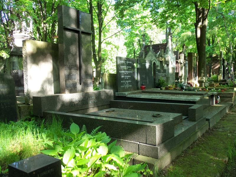 Zdjęcie grobu Edmund Struś (1)