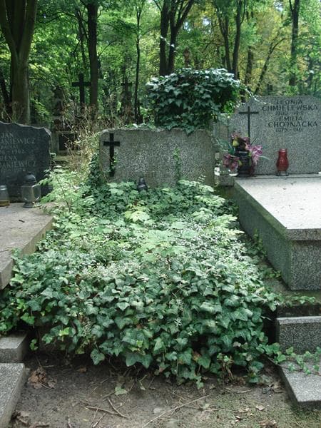 Zdjęcie grobu: Aleksander Brajczewski