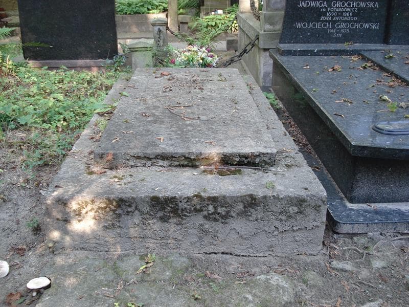 Zdjęcie grobu: Eugenia Brutkowska
