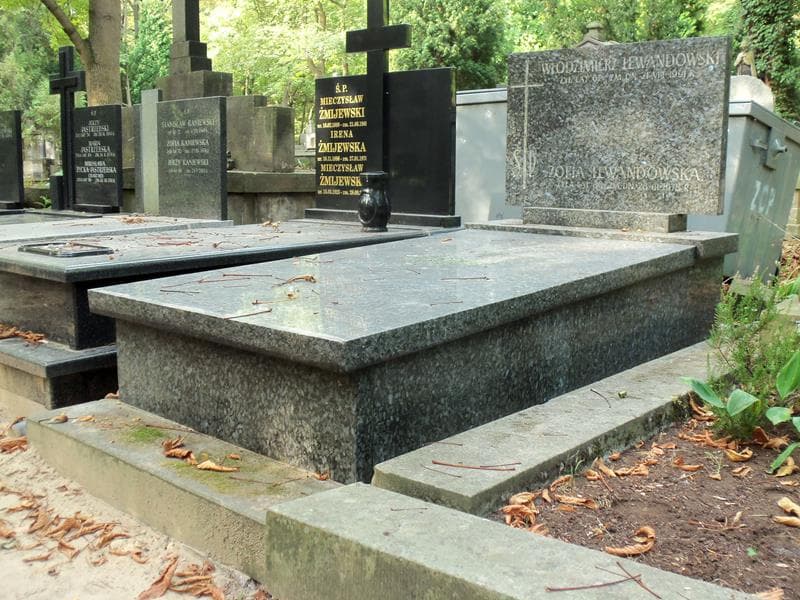 Zdjęcie grobu Włodzimierz Lewandowski (1)