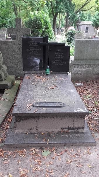 Zdjęcie grobu Jarosław Janusz (1)