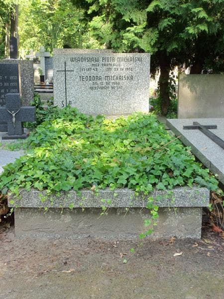 Zdjęcie grobu: Teodora Michalska