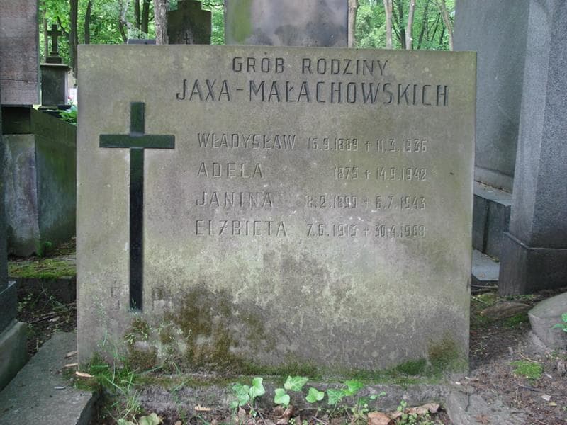 Zdjęcie grobu Władysław Jaxa-Małachowski (2)