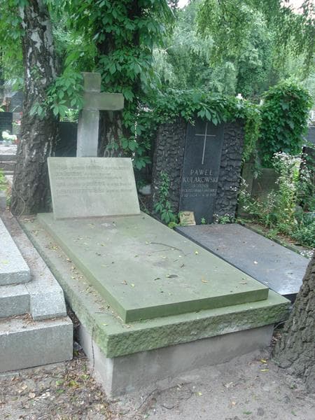Zdjęcie grobu Leon Siemieński (1)