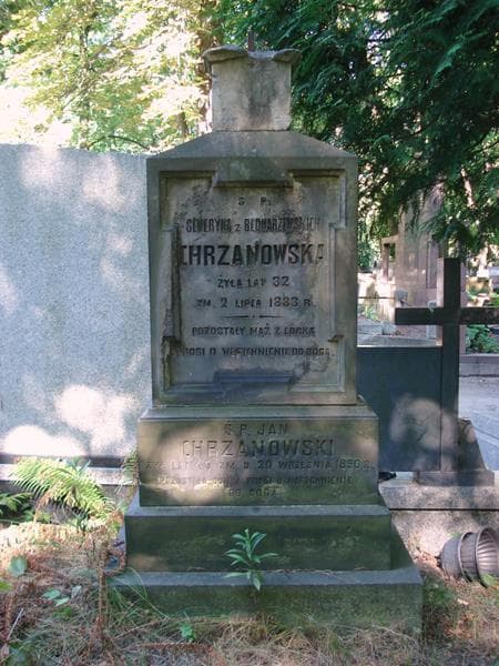 Zdjęcie grobu Jan Chrzanowski (2)