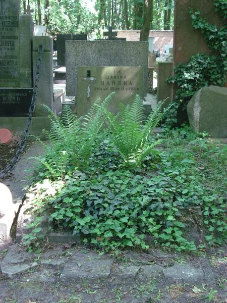 Zdjęcie grobu: Janina Hańska
