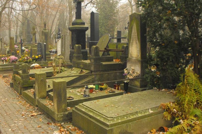 Zdjęcie grobu Władysław Feliks Ceranowicz (1)