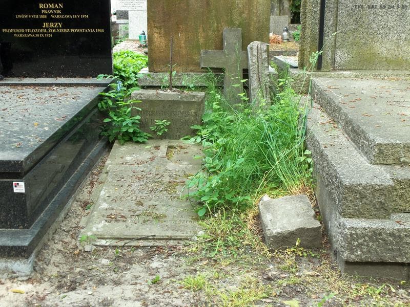 Zdjęcie grobu: Konstanty Januszewski