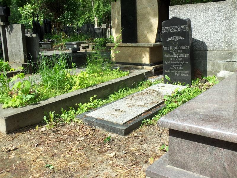 Zdjęcie grobu Bogumił Bogdanowicz (1)