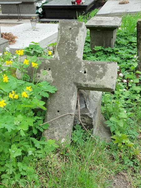 Zdjęcie grobu Józef Leśniewski (2)