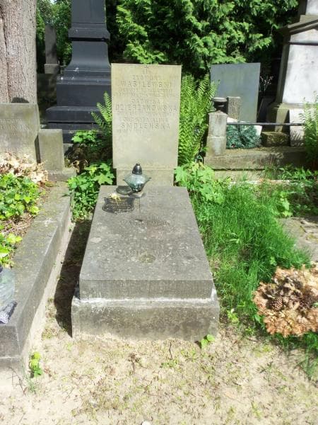 Zdjęcie grobu: Zygmunt Wasilewski