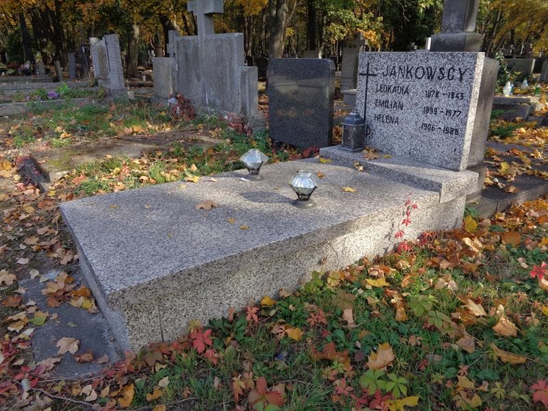 Zdjęcie grobu: Leokadia Jankowska