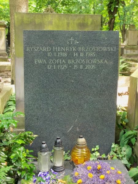 Zdjęcie grobu Ryszard Henryk Brzostowski (1)