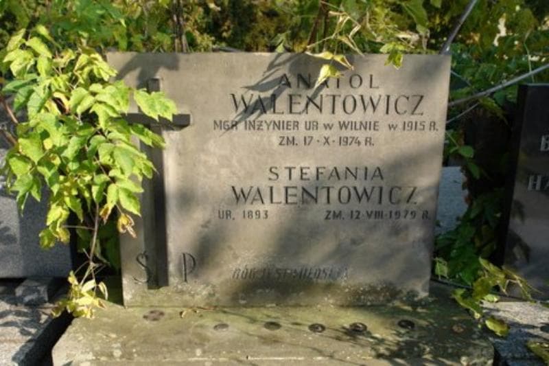 Zdjęcie grobu Stefania Walentowicz (2)