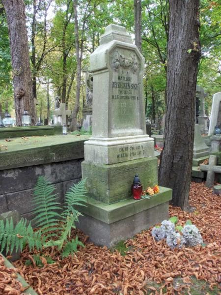 Zdjęcie grobu Wikcia Brzezińska (2)