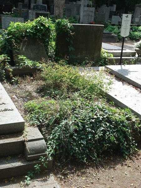 Zdjęcie grobu Barbara Nałęcz-Korkuć (1)
