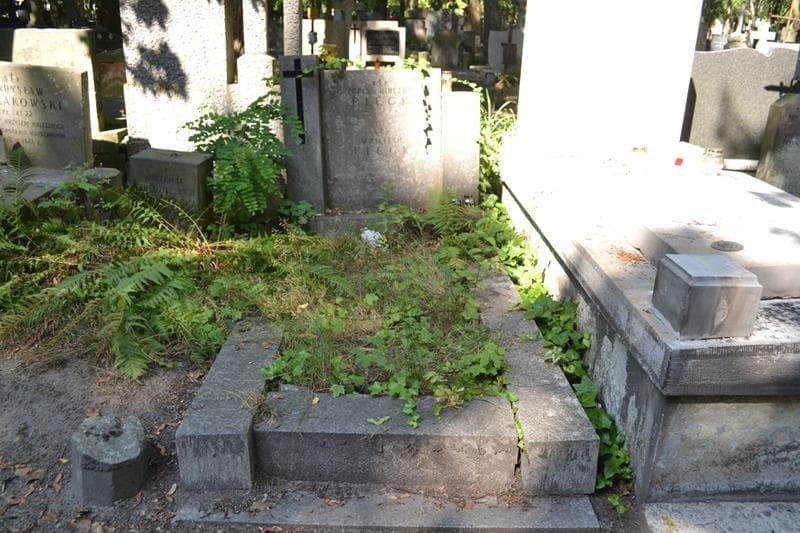 Zdjęcie grobu Wojciech Fleck (1)