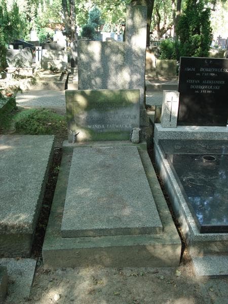 Zdjęcie grobu: Jan Ogonowski