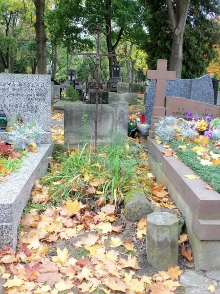 Zdjęcie grobu: Jadwiga Kuligowska