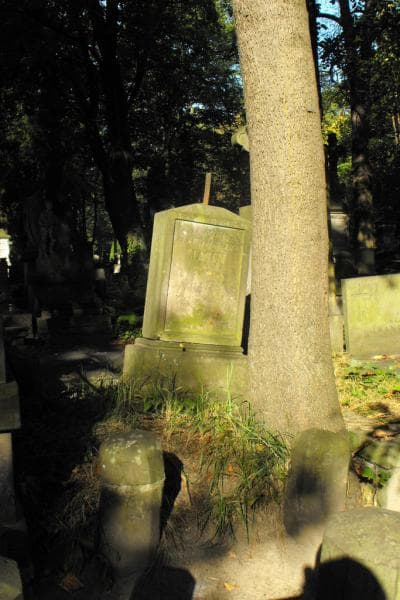 Zdjęcie grobu: Ludwika Jahn