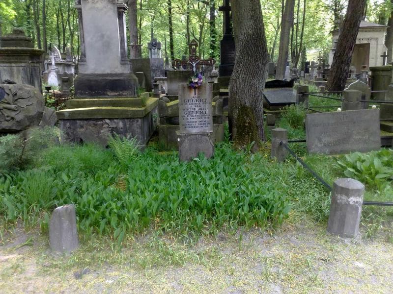 Zdjęcie grobu: Zosia Jasińska