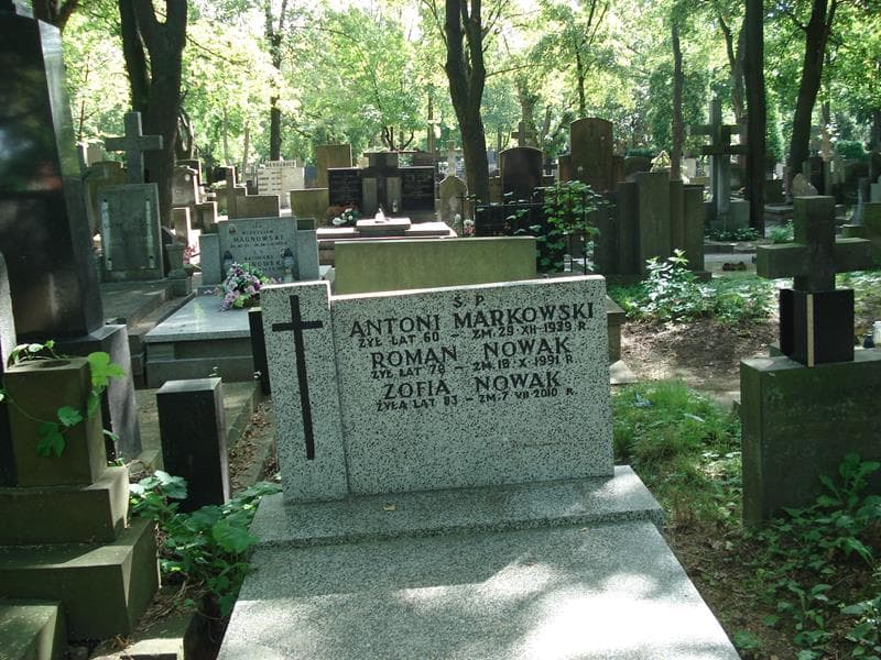 Zdjęcie grobu Zofia Nowak (2)