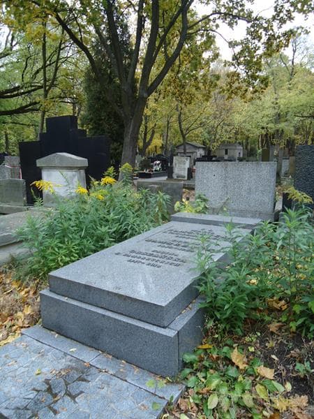 Zdjęcie grobu Halina Orszańska (1)