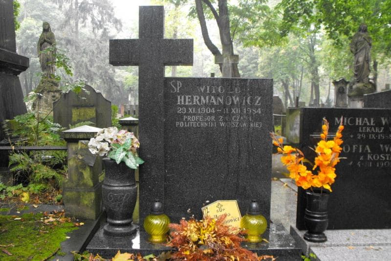 Zdjęcie grobu Witold Hermanowicz (2)