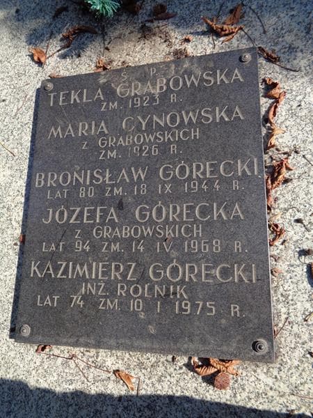 Zdjęcie grobu Bronisław Górecki (2)