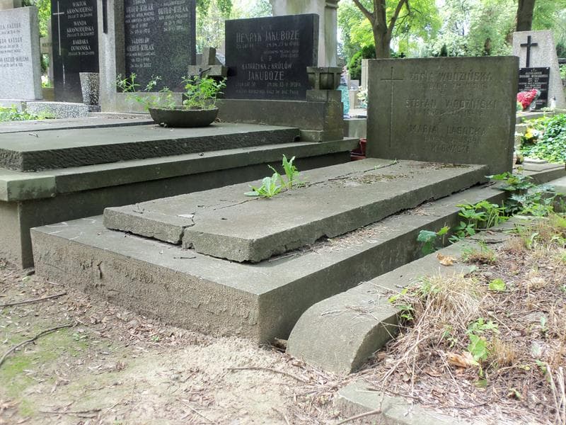 Zdjęcie grobu Maria Lasocka (1)