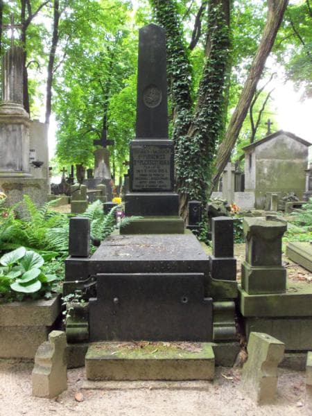 Zdjęcie grobu: Fortunata Pleszczyńska