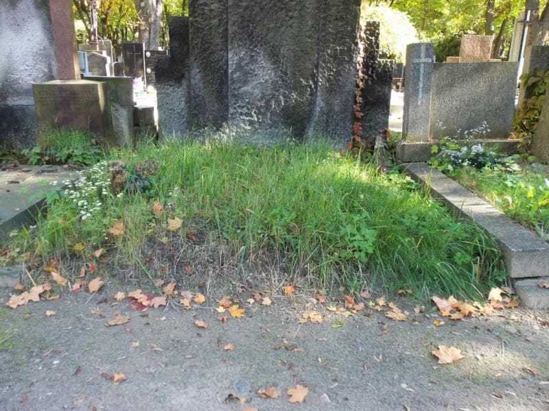 Zdjęcie grobu: Pole Grobowe
