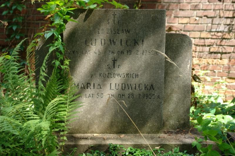 Zdjęcie grobu Maria Ludwicka (2)