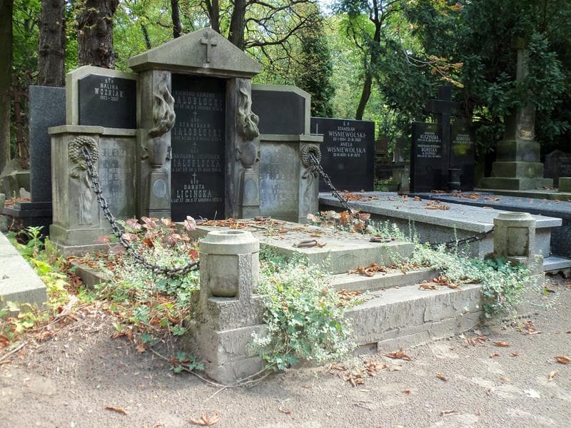Zdjęcie grobu Klemens Edmund Białobłocki (1)