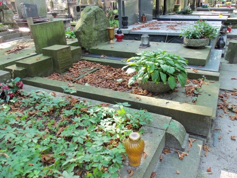 Zdjęcie grobu Zygmunt Pohoski (1)